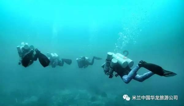 马斯克回应特斯拉研发支出远低于苹果
