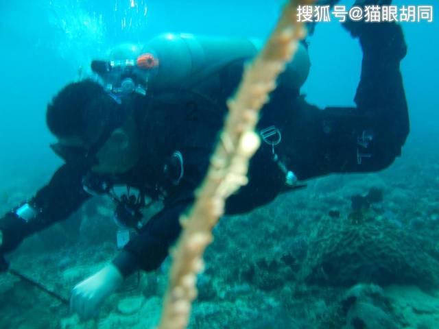 和家亲监控摄像头下载安装官方游戏画面